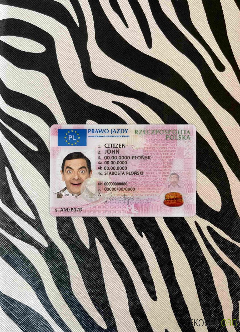 Pologne DL 2019   présent photolook AVANT